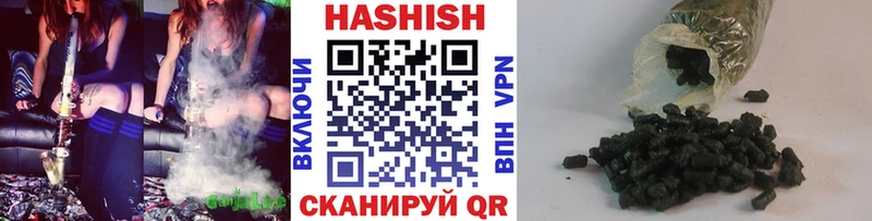 Купить  Нестеров  ГАШ гарик 