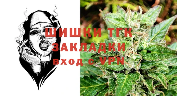 соль ск Каменка
