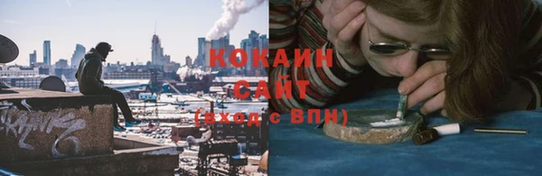 соль ск Каменка