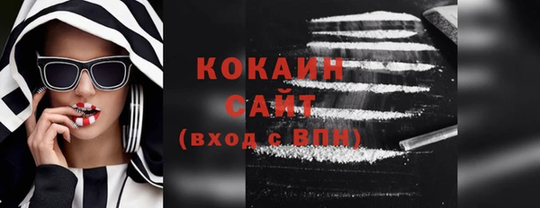 соль ск Каменка