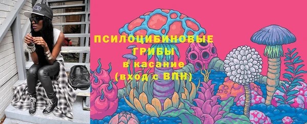 jwh Каменногорск