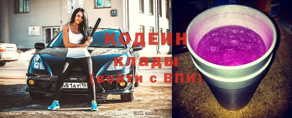 соль ск Каменка