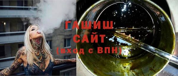 соль ск Каменка