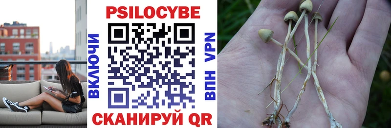 Купить закладки  Нестеров  Псилоцибиновые грибы GOLDEN TEACHER 